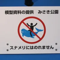 Auf dem Delphin reiten verboten