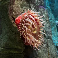Im Aquarium
