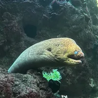 Im Aquarium